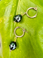 Tahitian Pearl Huggies Earrings