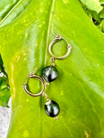 Tahitian Pearl Huggies Earrings