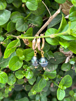 Tahitian Pearl Huggies Earrings