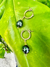 Tahitian Pearl Huggies Earrings